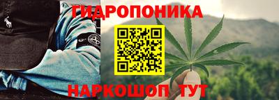 крисы Ипатово