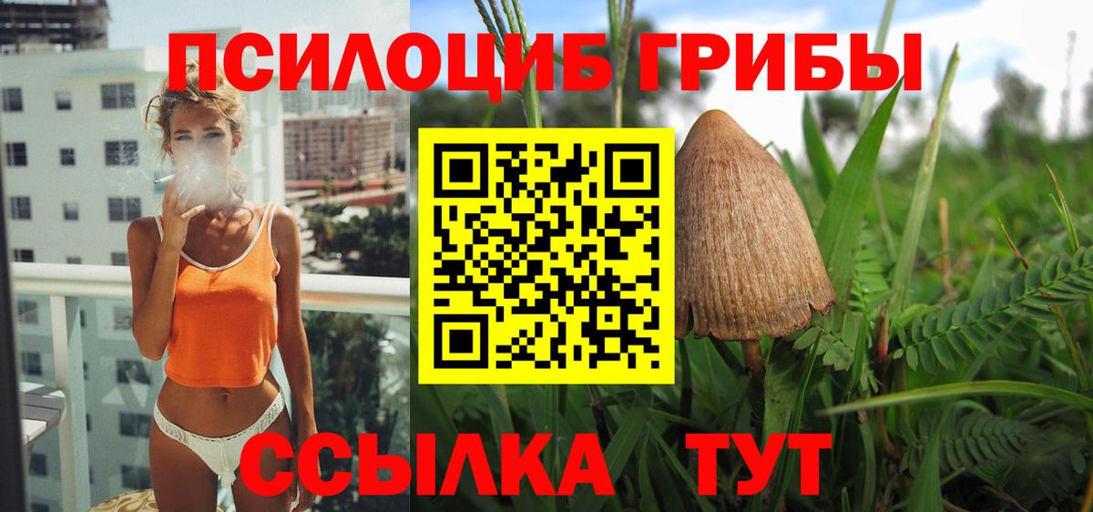 наркота  Псилоцибиновые грибы Psilocybe  Вход с VPN  Кунгур 