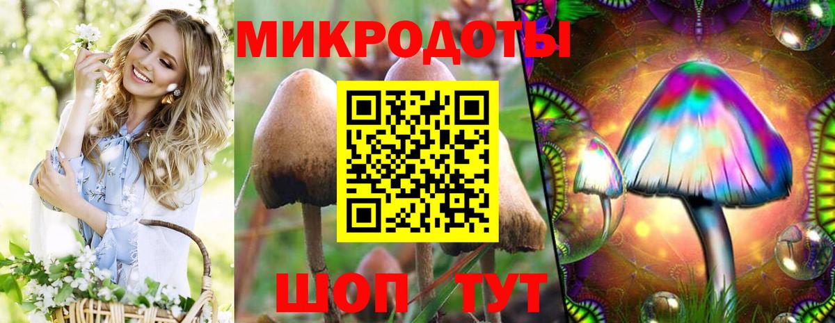Псилоцибиновые грибы прущие грибы Кунгур